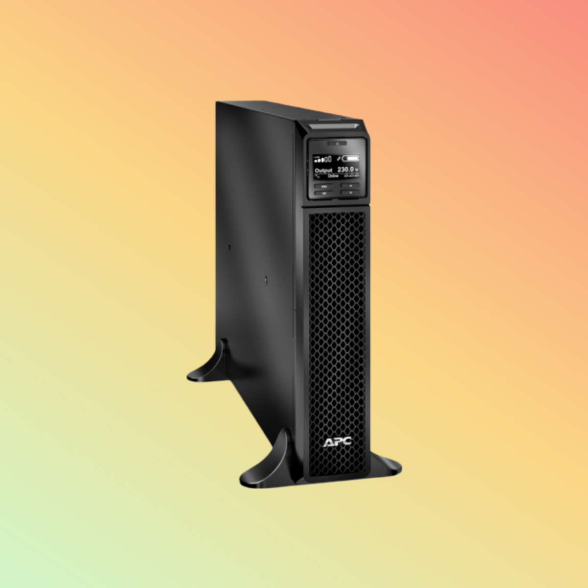 APC Smart SRT3000XLI UPS - 3000VA