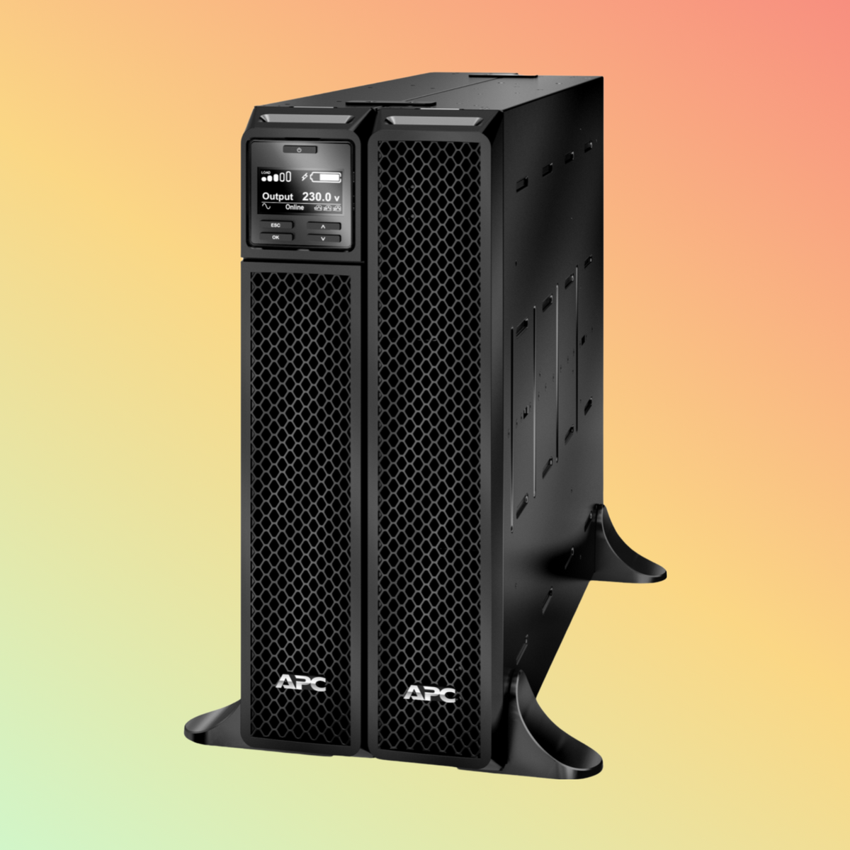 APC Smart SRT10KXLI UPS - 10000VA
