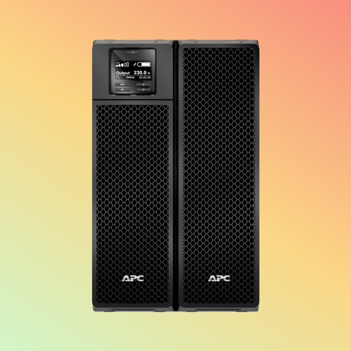APC Smart SRT10KXLI UPS - 10000VA