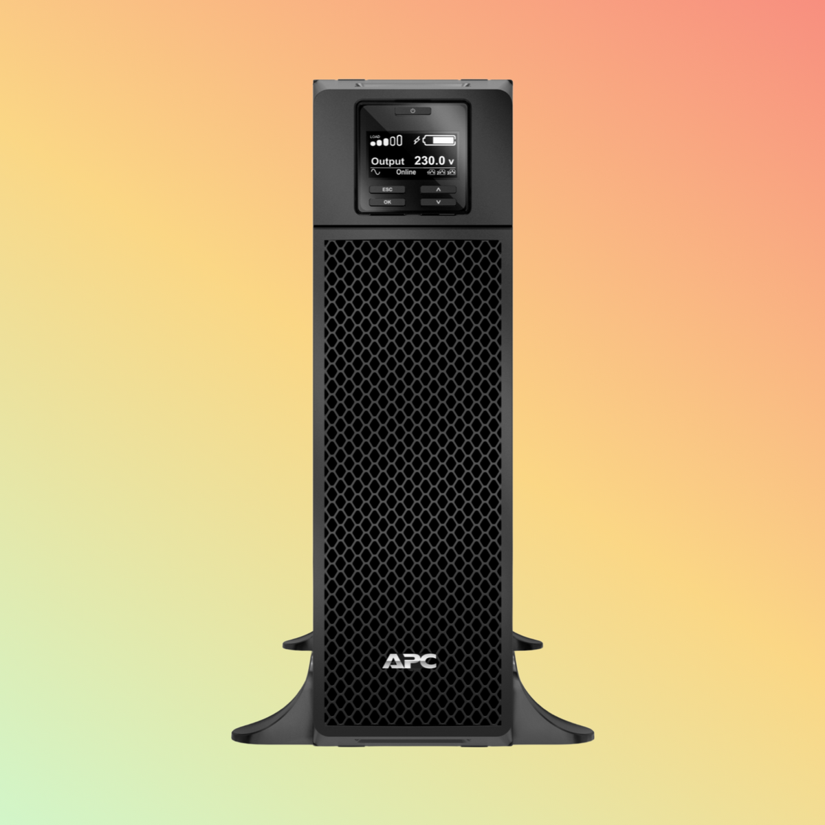 APC Smart SRT5KXLI UPS - 5000VA
