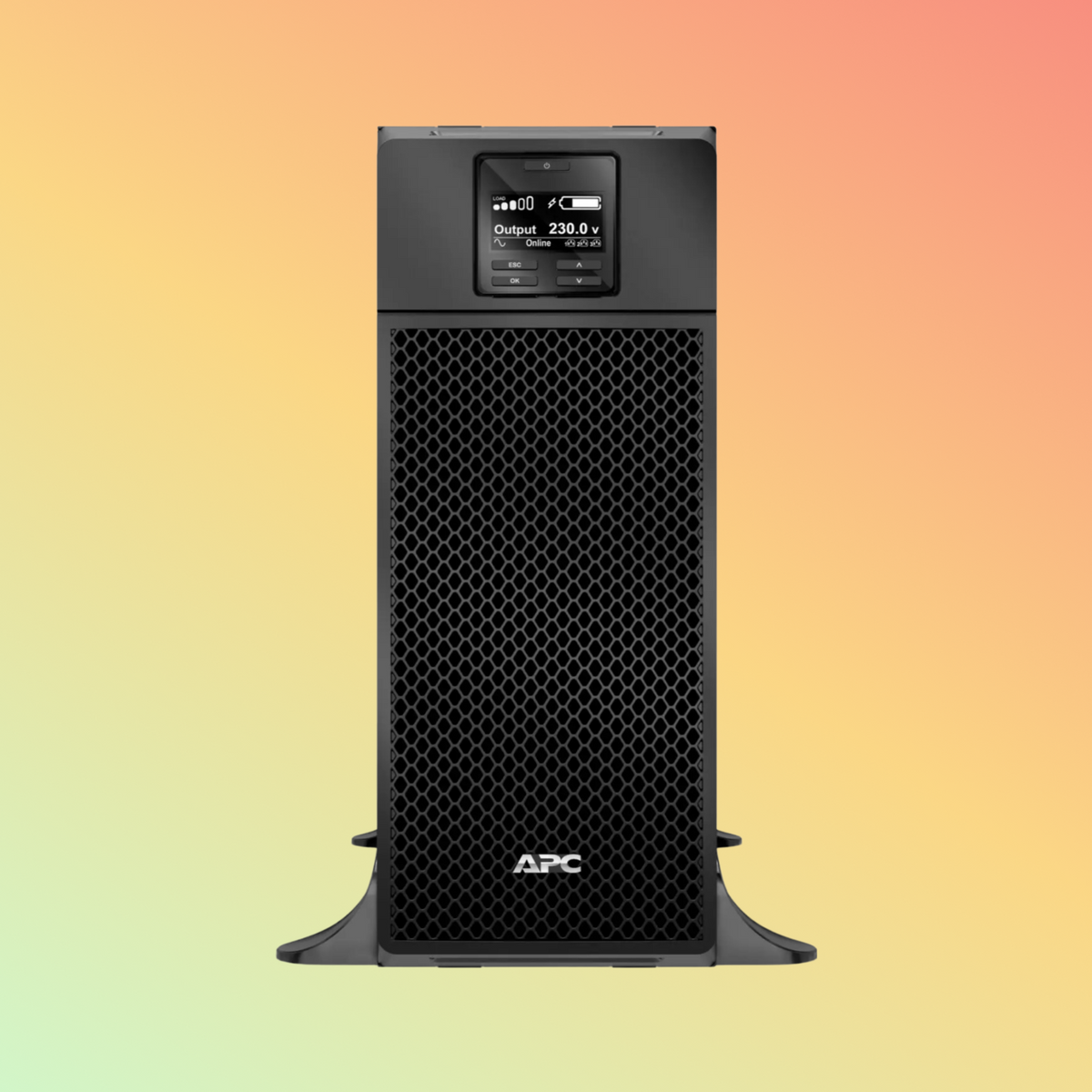 APC Smart SRT6KXLI UPS - 6000VA