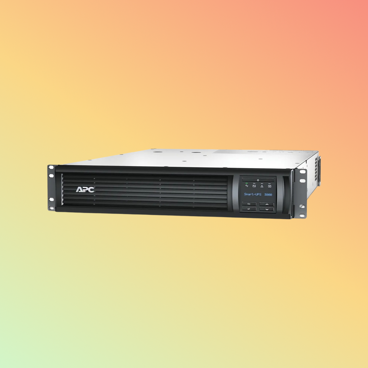 APC Smart SMT3000RMI2UC UPS - 3000VA